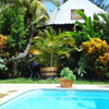 palm_garden_small palm garden small Palm Tree Articles