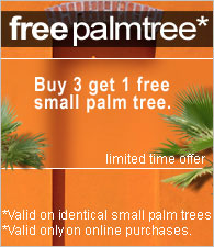 Palm Tree Store