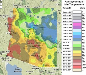 Arizona USDA Zones