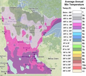 Minnesota usda zones