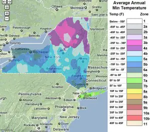 New York usda zones