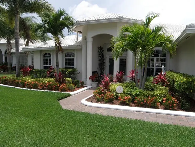How To Plant A Palm Tree In 10 Easy, Front Yard Landscaping Around Palm Trees