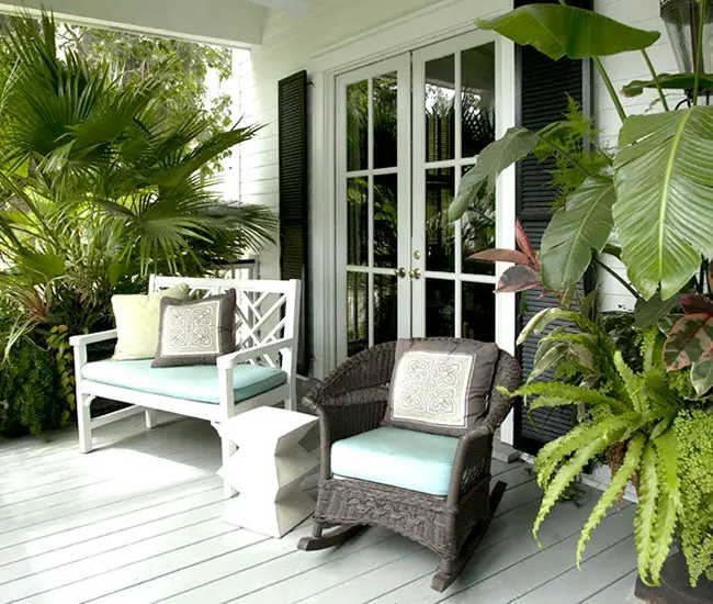 Picture of potted Chinese Fan Palm by the deck. 