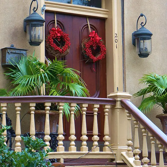 pottedpalmtreeideas650x650b Florida Palm Trees