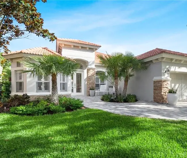 palmtreelandscapeideas650×55060 Florida Palm Trees