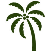 (c) Florida-palm-trees.com