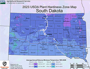 South Dakota Palm Trees